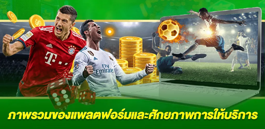 สรุป ภาพรวมของแพลตฟอร์ม